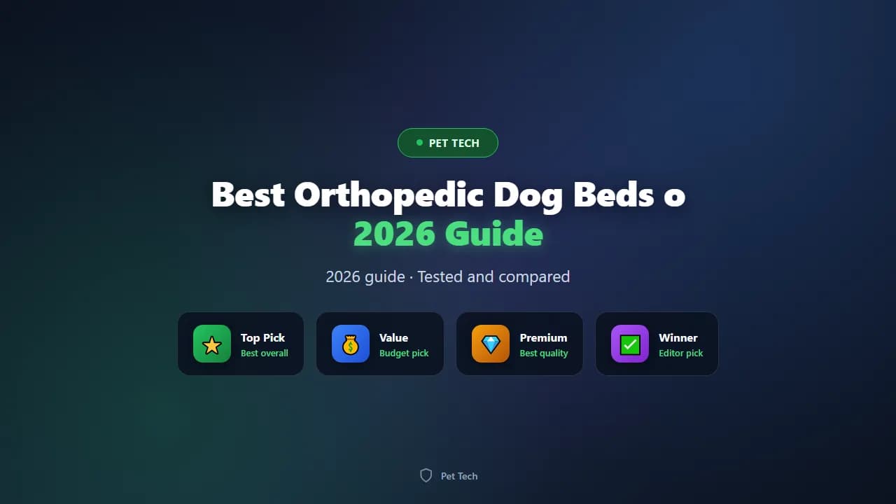 Best Orthopedic Dog Beds of 2026 for Senior Dogs